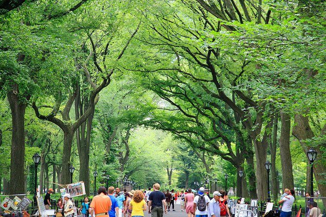 Central Park Photography Tour with Local Photographer - Small group size: why max 8 isn’t just a number