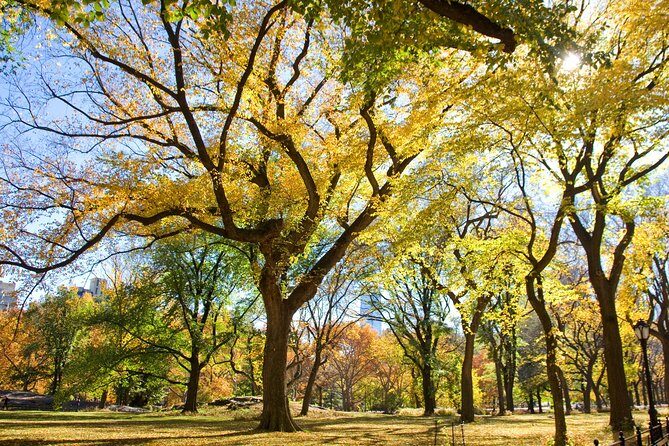 Central Park Photography Tour with Local Photographer - Shakespeare Garden and Bethesda Fountain: flowers meet grand stone