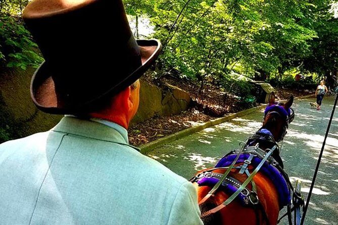 Central Park Private Horse and Carriage Tour - The “private” part: who this works best for