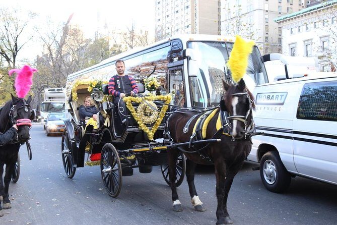 Central Park Private Horse Carriage Tour in NYC - Key things to know before you go