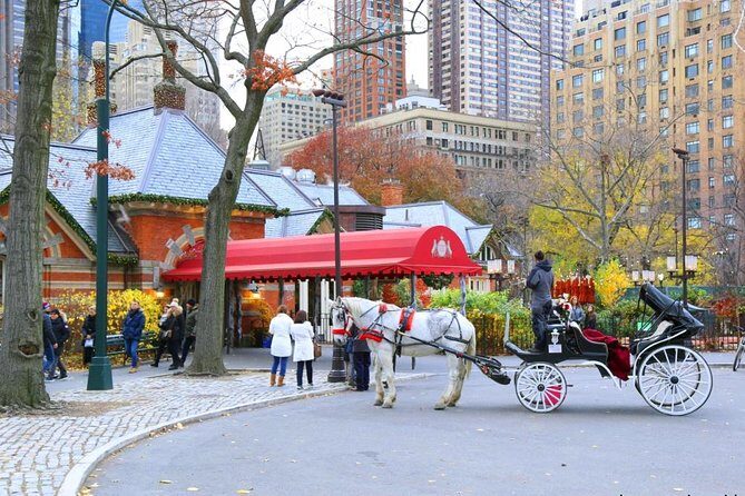 Central Park Private Horse Carriage Tour in NYC - Why this private carriage makes Central Park easier