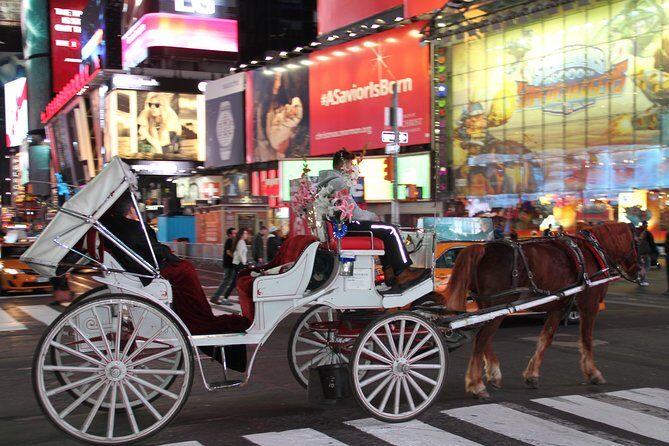 Central Park Private Horse Carriage Tour in NYC - The first half: riding the east side of Central Park