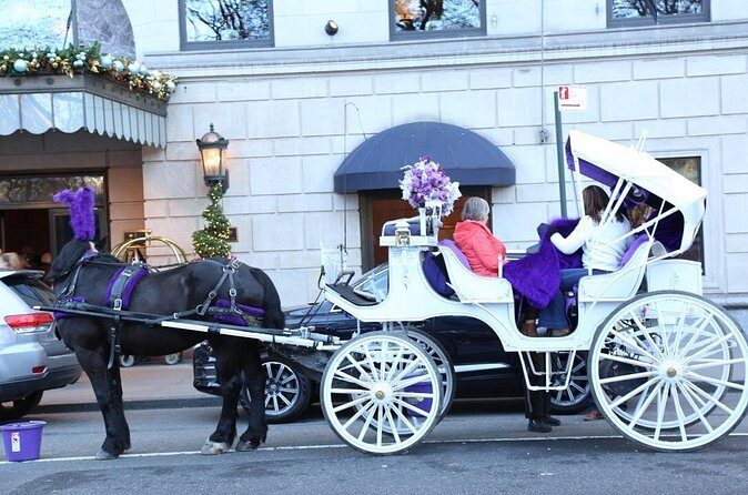 Central Park Private Horse Carriage Tour in NYC - The mid-route: the Mall, Literary Walk, and summer-stage areas