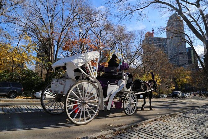 Central Park Private Horse Carriage Tour in NYC - 45 minutes feels short: how to get value from the ride time