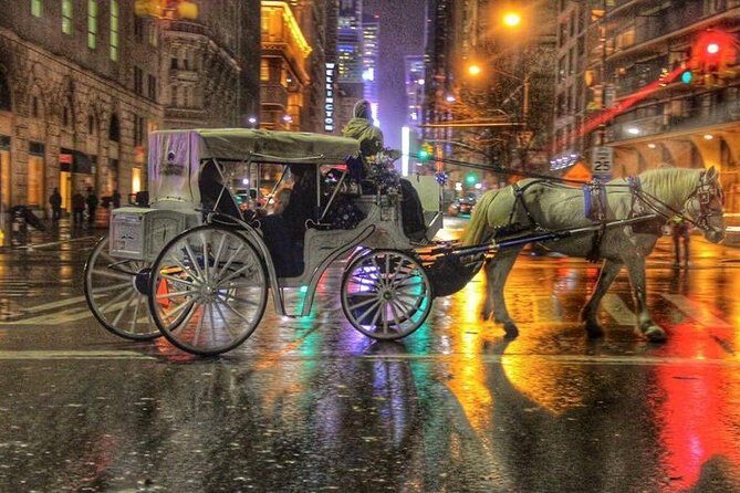 Central Park Private Horse Carriage Tour in NYC - Where you meet: Central Park South by José de San Martín