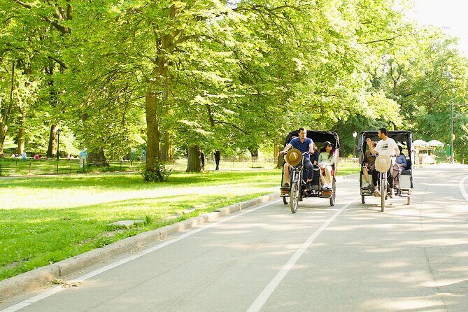 Central Park Private Pedicab Tour - How the Central Park pedicab feels in real life