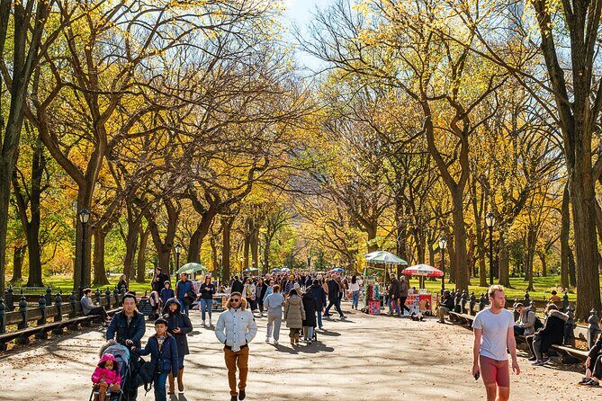 Central Park Private Pedicab Tour (60 mins) - Who Should Book This Tour (and Who Might Skip It)