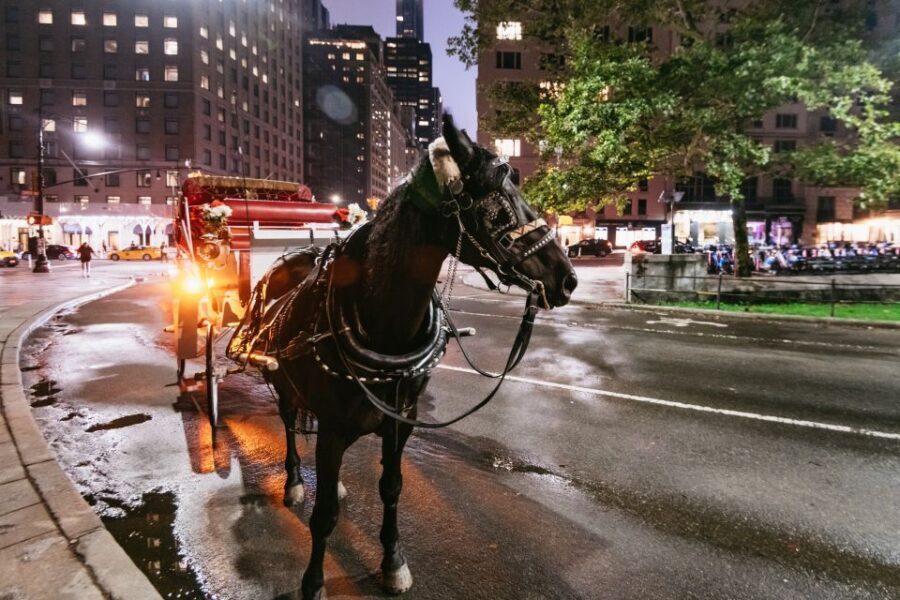 Central Park, Rockefeller & Times Carriage Ride (4 Adults) - Rockefeller area to Times Square: the lights build momentum