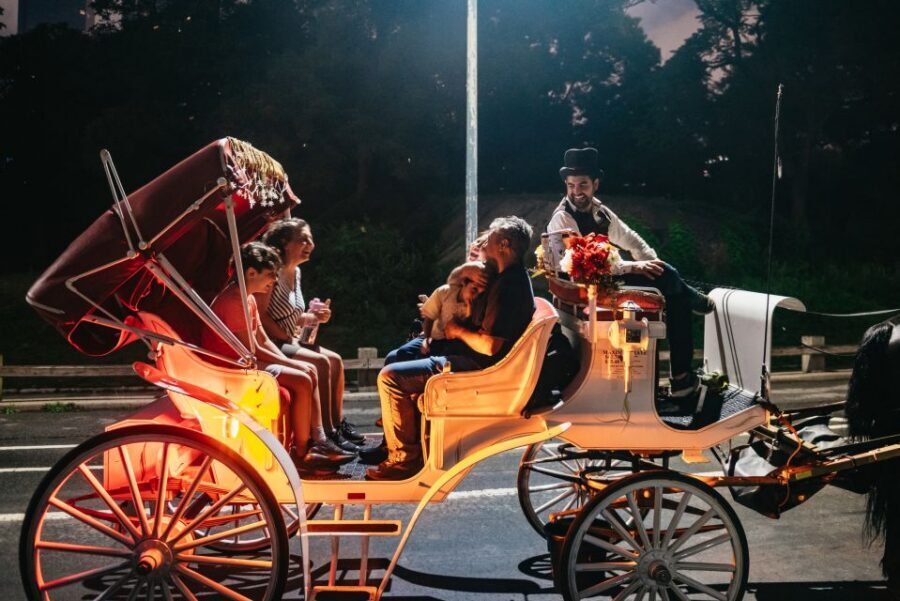Central Park, Rockefeller & Times Carriage Ride (4 Adults) - Getting the most out of the carriage: comfort, photos, and the horses