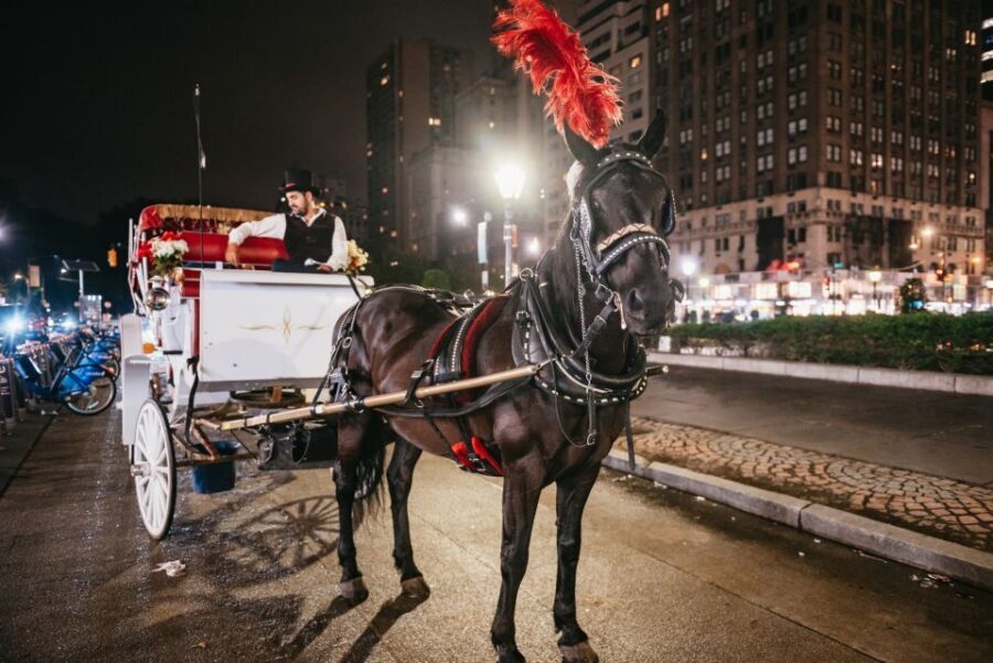 Central Park, Rockefeller & Times Carriage Ride (4 Adults) - Price and value: $295 per carriage, not per person