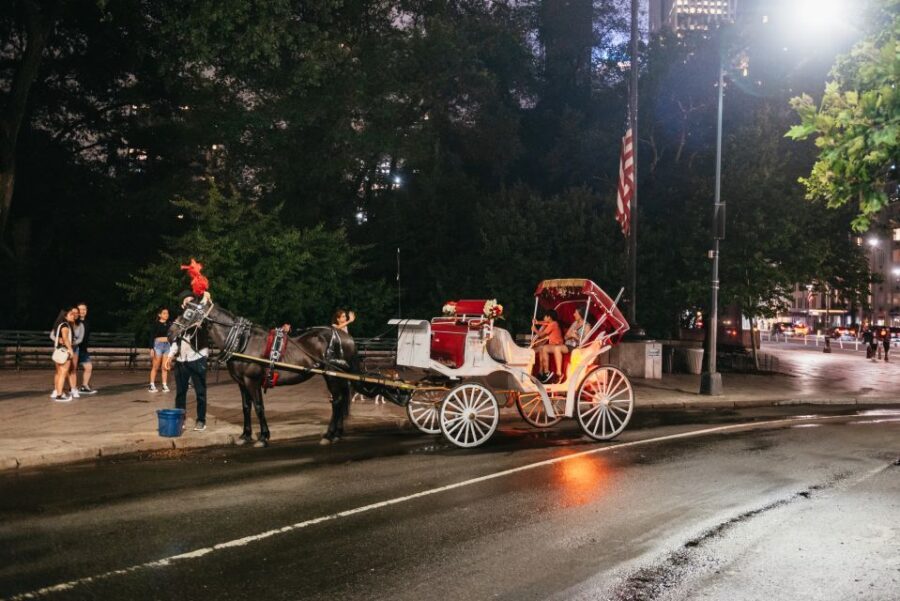 Central Park, Rockefeller & Times Carriage Ride (4 Adults) - Who this carriage ride is best for