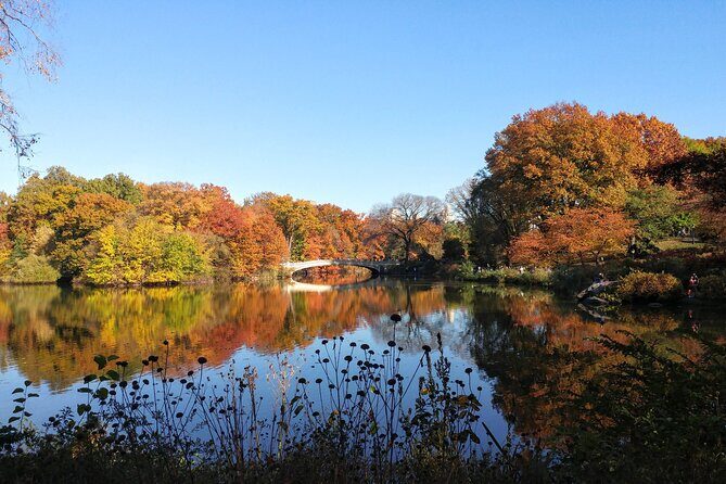 Central Park: Scandal & Vice Walking Tour - Who should book this tour (and who might skip it)