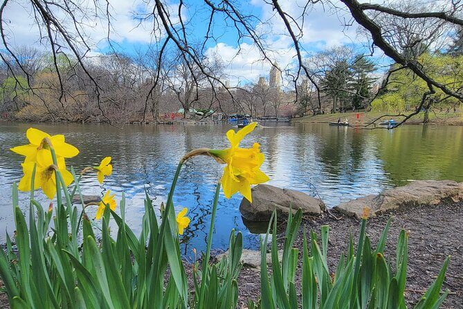 Central Park Secrets And Highlights - Central Park South has the best “starter secrets”