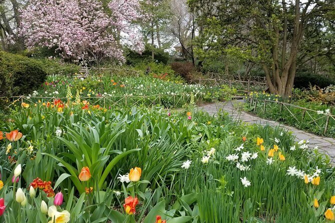 Central Park Secrets And Highlights - What you’ll actually do inside the southern half of the park