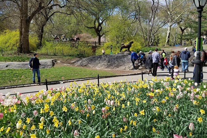 Central Park Secrets And Highlights - Timing: starting at 8:00 am and why that’s a plus