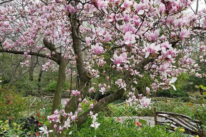 Central Park Secrets And Highlights - Price and value: $42 for a guided Central Park morning