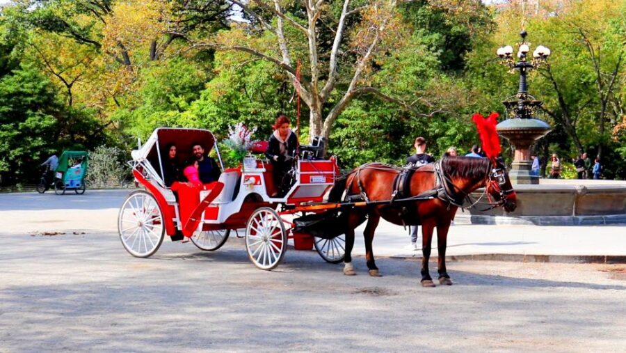 Central Park: Short Horse Carriage Ride (Up to 4 Adults) - Horse Ride Reality Check: Short, Pricey, and Worth It If You Want Highlights