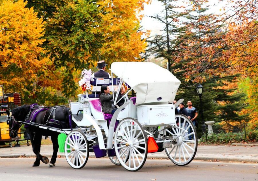 Central Park: Short Horse Carriage Ride (Up to 4 Adults) - The Route’s Payoff: Iconic Central Park Views in One Ride