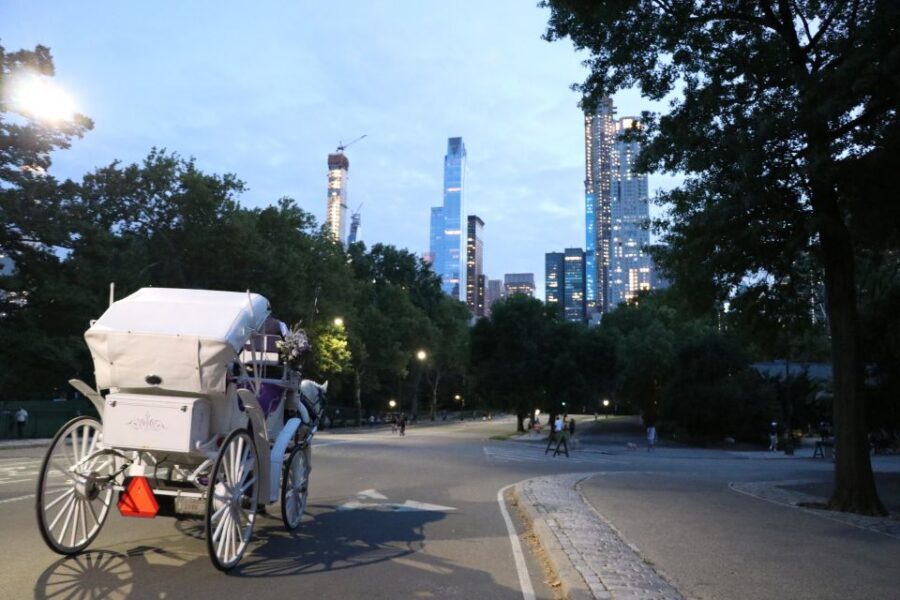 Central Park: Short Horse Carriage Ride (Up to 4 Adults) - Weather-Proof Comfort: Roof and Blankets in Winter