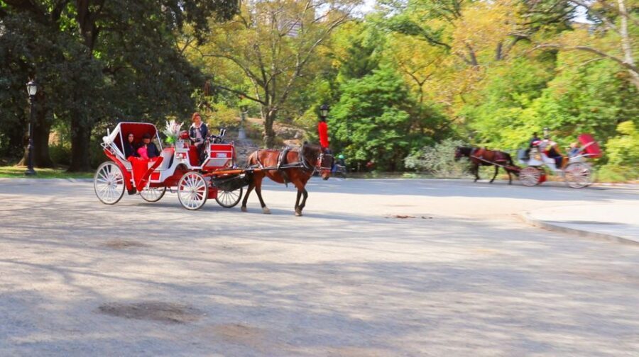 Central Park: Short Horse Carriage Ride (Up to 4 Adults) - Photos Are Part of the Product: Plan for Your “Final Shot”