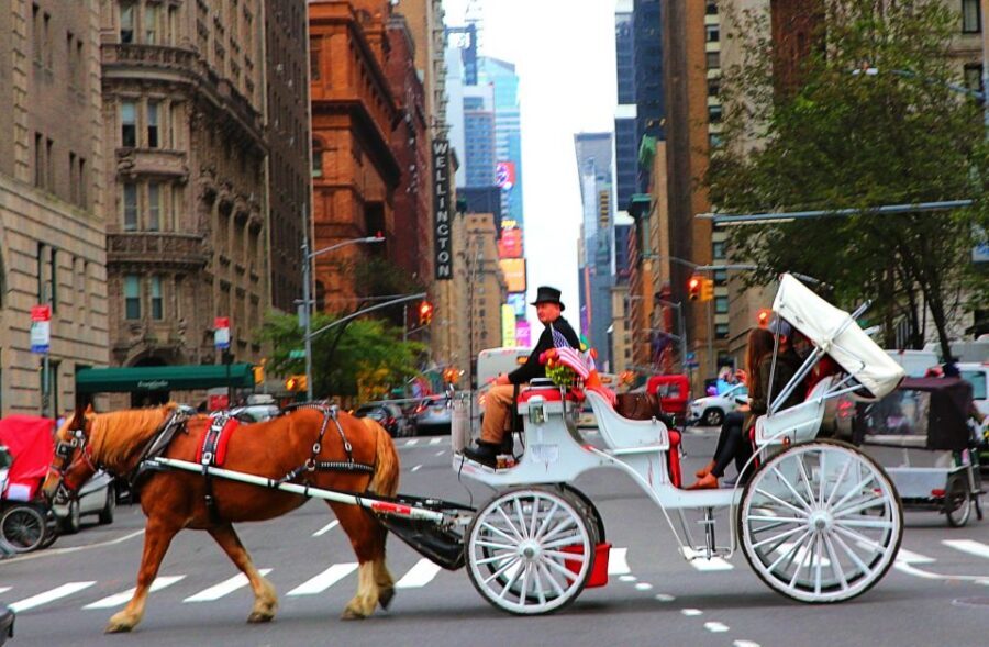 Central Park: Short Horse Carriage Ride (Up to 4 Adults) - Timing That Actually Fits NYC: 20–25 Minutes of Carriage Time
