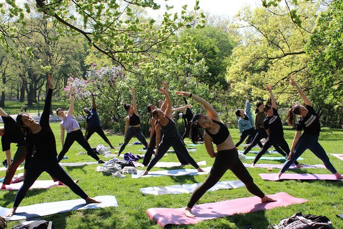Central Park Yoga Class with a View in the Heart of New York City - Group Size, English, and Learning Without Stress