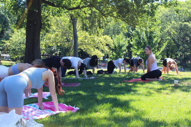 Central Park Yoga Class with a View in the Heart of New York City - Shannon’s Beginner-Friendly Flow: Breath, Poses, and Pace