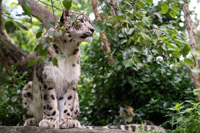 Central Park Zoo Admission Ticket with 4D Theater Access - Central Park Zoo: three biomes with an easy walking rhythm