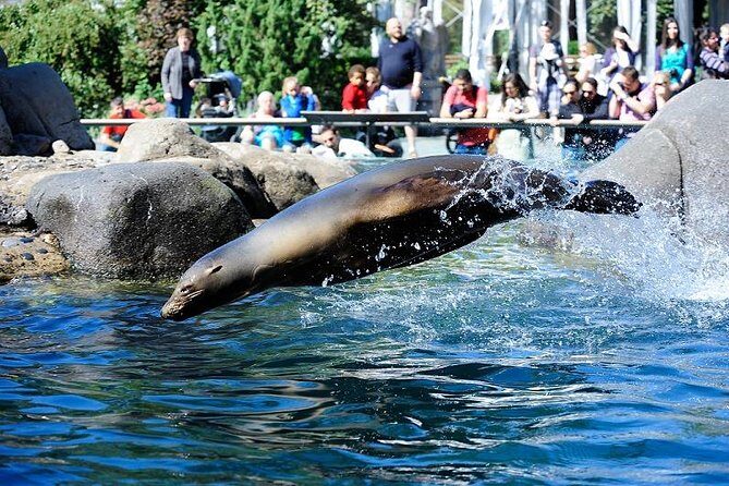 Central Park Zoo Admission Ticket with 4D Theater Access - Who should book this zoo and 4D ticket?