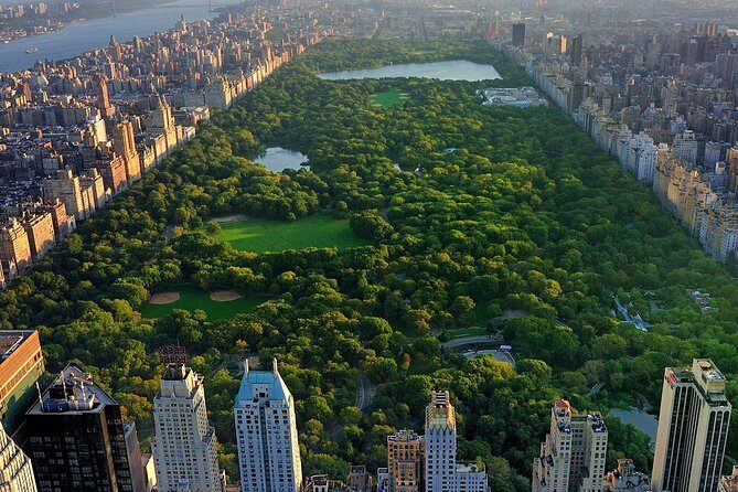 Deluxe Central Park Pedicab Tour - Private tour pace: the best part is how your group controls the moments