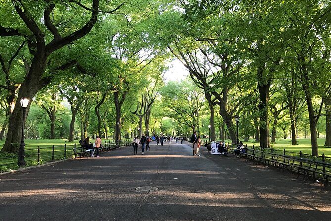 First Class Central Park Tour – Iconic Views & VIP Photo Moments - The Pond and The Lake: small water moments that make the park feel bigger