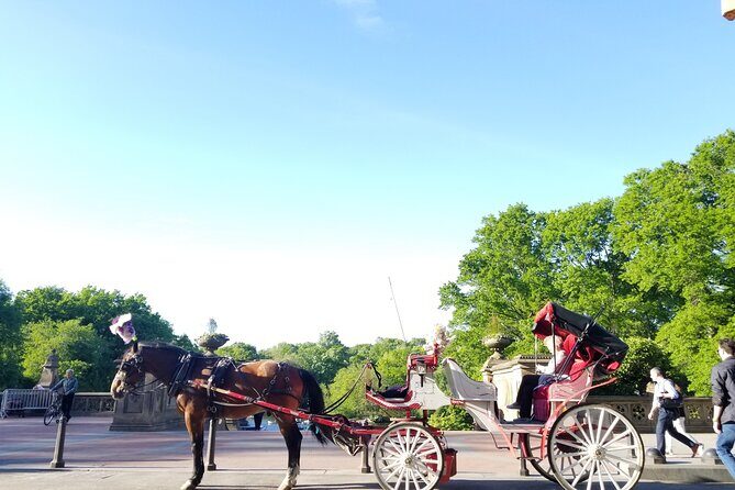 Full loop Private Horse Carriage Ride in Central Park 45 Minutes - Key Things That Make This Ride Work