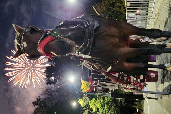 Full loop Private Horse Carriage Ride in Central Park 45 Minutes - The Smart Reason to Ride: You See More Than Walking