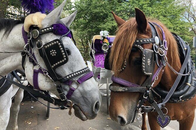 Full loop Private Horse Carriage Ride in Central Park 45 Minutes - Where You Meet and How the Ride Ends (So You Don’t Chase It)