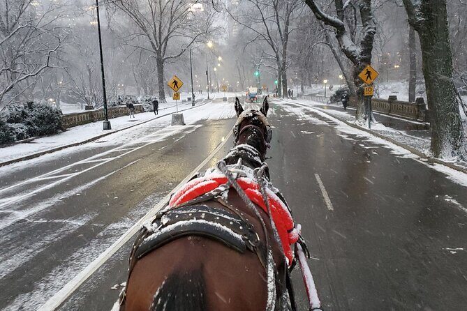 Full loop Private Horse Carriage Ride in Central Park 45 Minutes - Drivers and Communication: Tyson and Fantasy as Examples