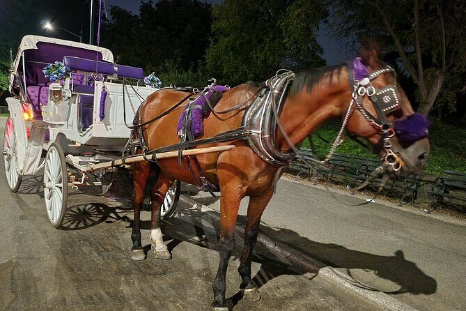 Full loop Private Horse Carriage Ride in Central Park 45 Minutes - When to Go: Afternoon and Evening Slots, With Weather in Mind