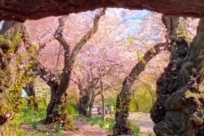 Gluten Free Walking Tour of Central Park NYC - Central Park Model Boat Pond and Classic Literature Moments