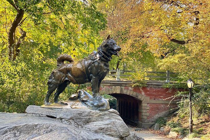 Guided Central Park Bike Tour 2 Hours - Best Time to Go and What to Bring