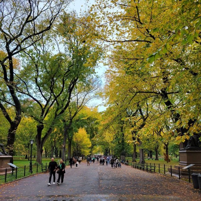 Guided Economy Pedicab Tour in Central Park - Key things that make this Central Park pedicab tour work