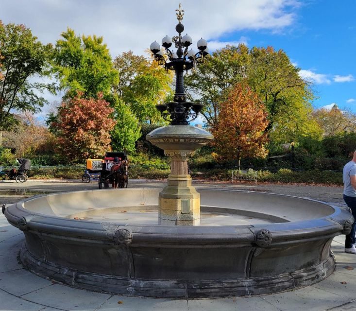 Guided Economy Pedicab Tour in Central Park - 45 minutes that cover the Central Park highlights you actually want