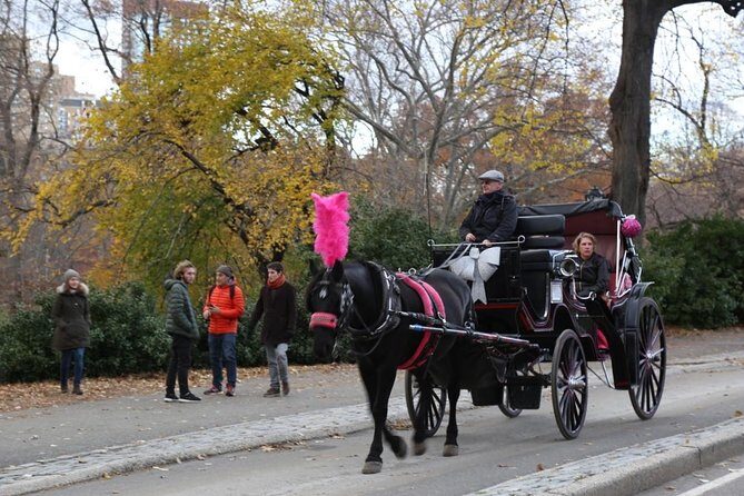 Horse Carriage Tour in New York City's Central Park Small Loop - Timing Tips: When a Quiet Evening Changes the Whole Experience