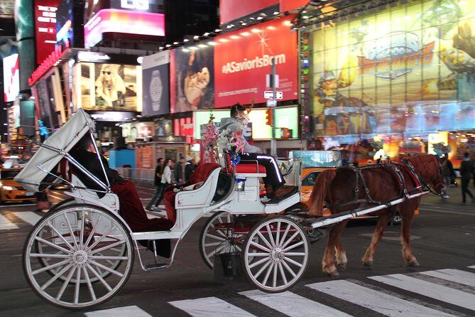 Horse Carriage Tour in New York City's Central Park Small Loop - Value for Money: What You Get From a 20-Minute Private Tour