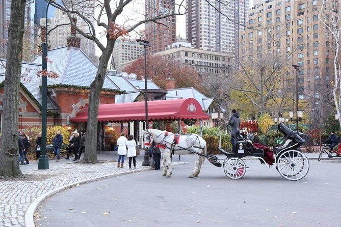 Horse Carriage Tour in New York City's Central Park Small Loop - Practical Expectations: What the Tour Is and Isn’t