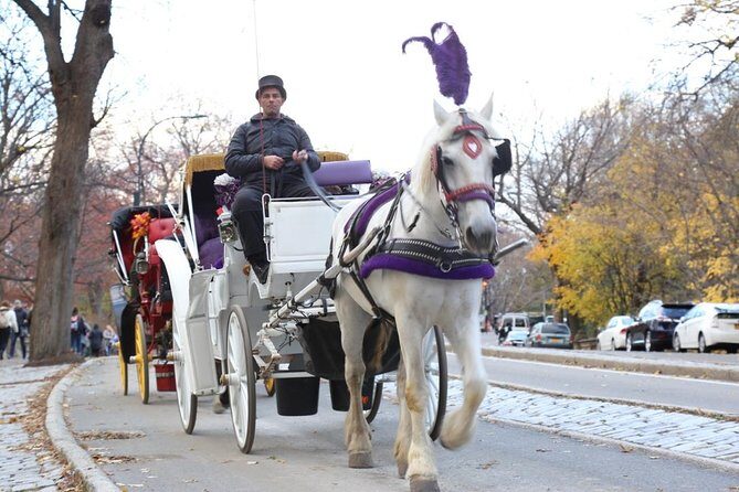 Horse Carriage Tour in New York City's Central Park Small Loop - The Route on the East Side: What You’ll Pass and Why It’s Worth Seeing