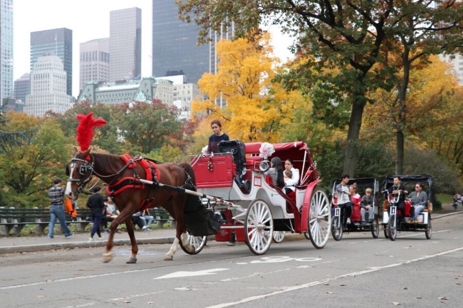 Manhattan: VIP Private Horse Carriage Ride in Central Park - Key Highlights You’ll Notice Fast