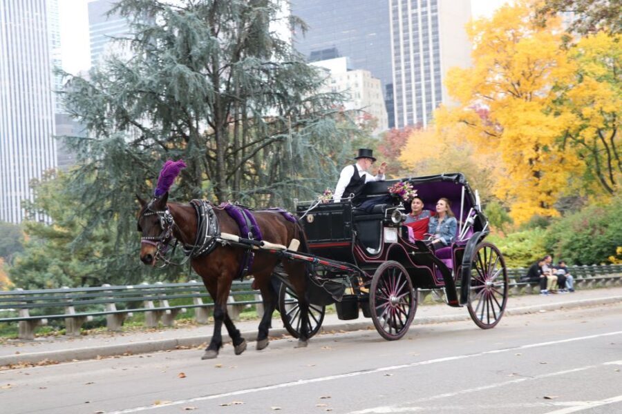 Manhattan: VIP Private Horse Carriage Ride in Central Park - Should you book? My take