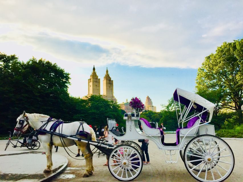 Manhattan: VIP Private Horse Carriage Ride in Central Park - Central Park by Horse: A quick escape that feels like a real detour