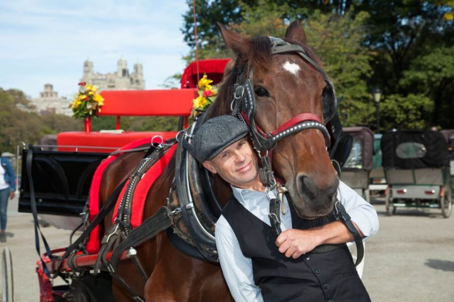 Manhattan: VIP Private Horse Carriage Ride in Central Park - Roof, Blankets, and Horse Care That Keeps the Ride Comfortable