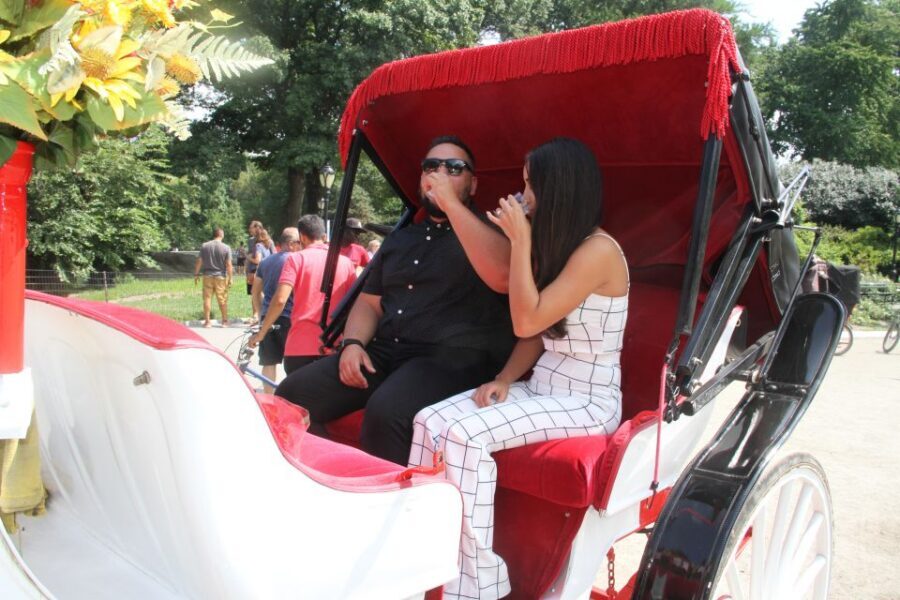 Manhattan: VIP Private Horse Carriage Ride in Central Park - Bow Bridge to Bethesda Terrace: iconic views with coachman stories