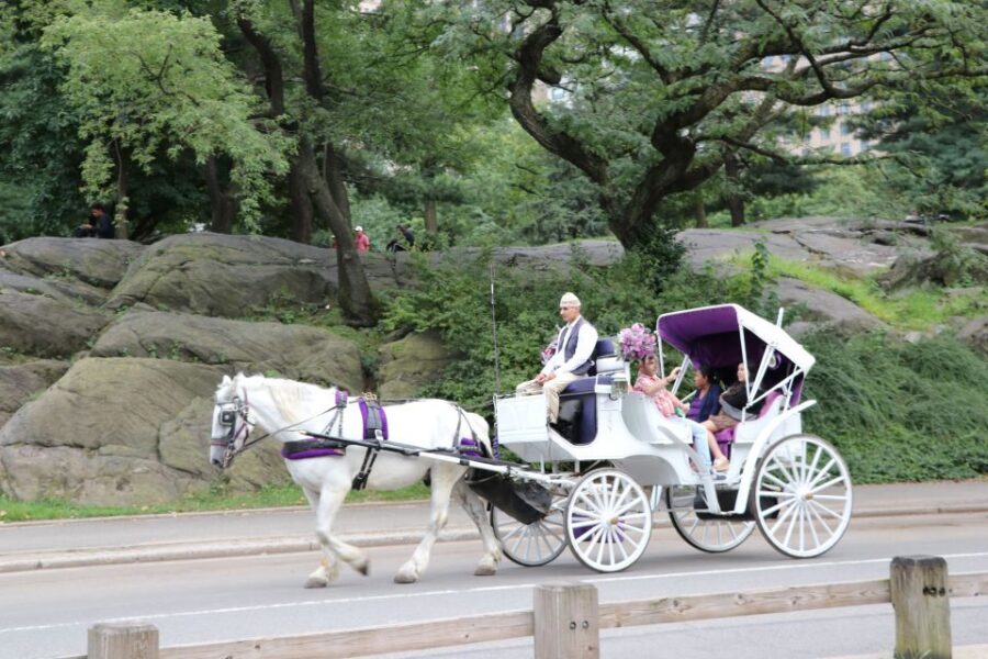 Manhattan: VIP Private Horse Carriage Ride in Central Park - Strawberry Fields, Sheep Meadow, and the Jacqueline Kennedy Onassis Reservoir